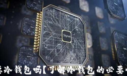 比特币需要冷钱包吗?了解冷钱包的必要性与安全性