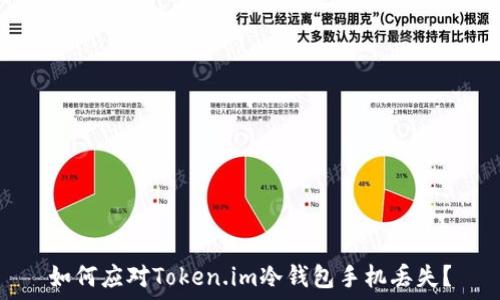如何应对Token.im冷钱包手机丢失?