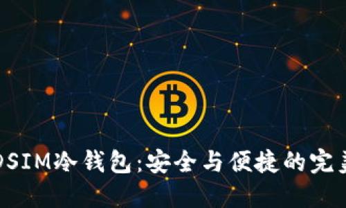 肖恩DSIM冷钱包:安全与便捷的完美结合