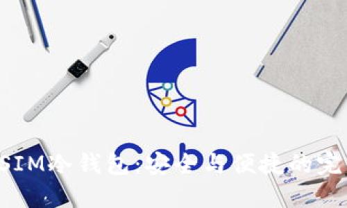 肖恩DSIM冷钱包:安全与便捷的完美结合