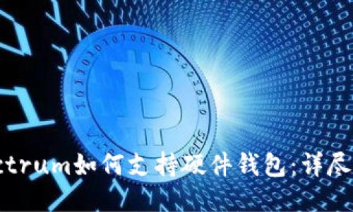 Electrum如何支持硬件钱包:详尽指南
