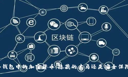 冷钱包中的加密货币:隐藏的木马还是安全保障?