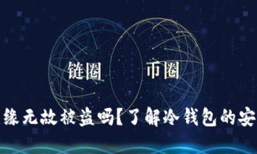 冷钱包会无缘无故被盗吗?了解冷钱包的安全性与风险