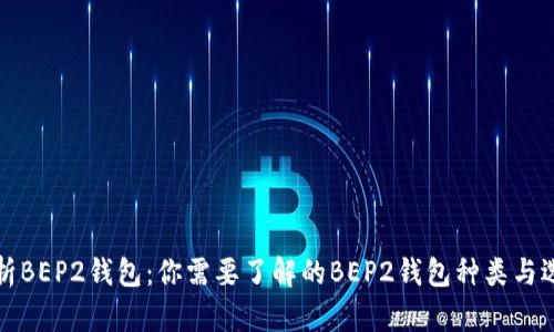 全面解析BEP2钱包:你需要了解的BEP2钱包种类与选择指南