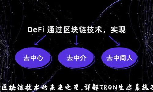波场币:区块链技术的未来之星,详解TRON生态系统及其应用
